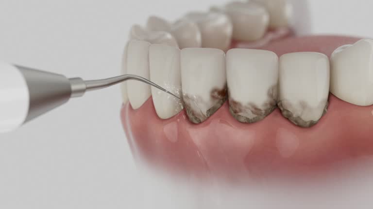 Reliable Dental contractor in Berwick, PA by Dentist Open Now